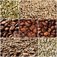 Collage of different coffee beans