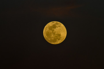 Full Moon