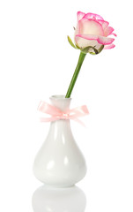Rose in vase decorated with bow
