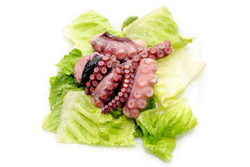 An Appetizer of Fresh Cooked Octopus Tentacles