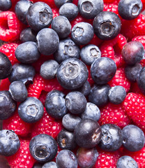 Raspberry and blueberry background 