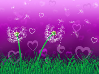 Dandelion Sky Represents Heart Shape And Grassy