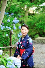 紫陽花の咲く庭園に座って落ち着いている浴衣の美しい日本人女性