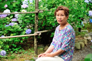 紫陽花の咲く庭と高齢者の女性