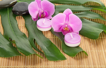 Leaf of monstera, orchid, candle and stones