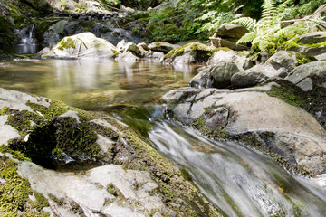 Wasserschnelle aus der Froschperspektive