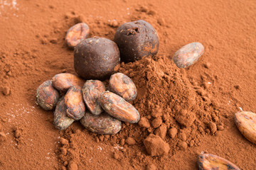 Fototapeta na wymiar Pralinen und Kakaobohnen