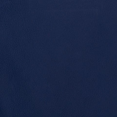 Blue leather