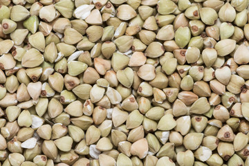 Buckwheat Background