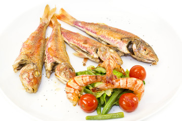 grilled fish with shrimp salad