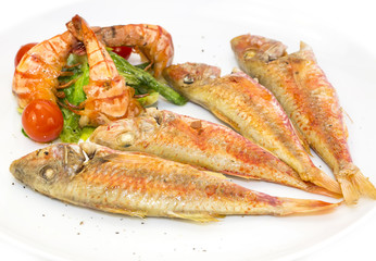 grilled fish with shrimp salad