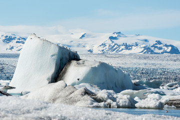 Fototapeta na wymiar Jökulsárlón - Bucht mit Eisbergen