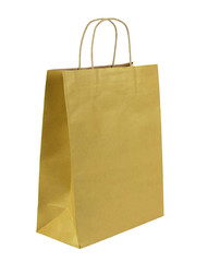 Shopping bag isolated on the white background