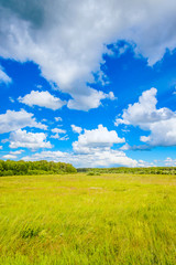 Fototapeta premium prairie landscape and sky