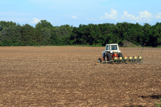 Tractor Planting The Field
