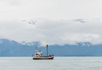 Expedition Antarktis Arktis Grönland Island