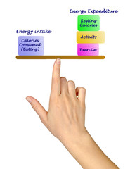 Balance between Energy intake and Energy expenditure