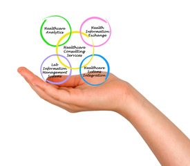 Healthcare Consulting Services