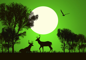 Ciervos sobre fondo verde, ilustración