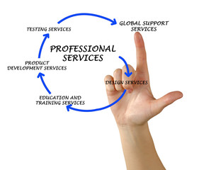 Diagram of professional services