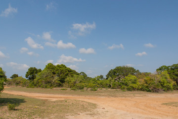 Safai in the Yala Nationalpark