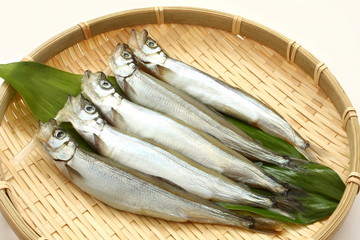 ししゃも　食材　干物 © hungryworks