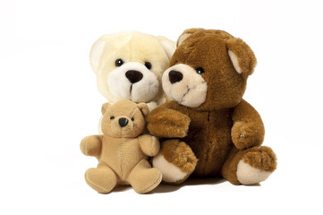 Teddy Bears on a white background