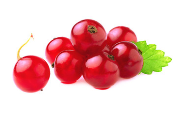 Red currant with leaf