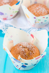 Beautiful homemade muffins with powdered sugar. Selective focus.