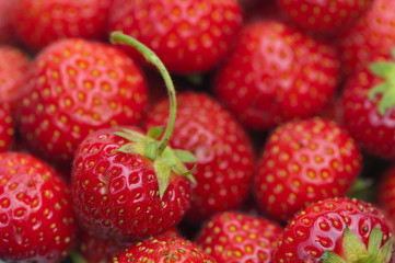 strawberry summer fruit