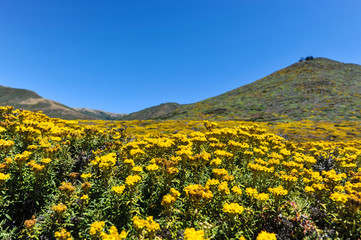Landscape of mountain in Garrapata State Park