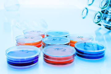 Color liquid in old plastic petri dishes