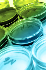 Color liquid in old plastic petri dishes