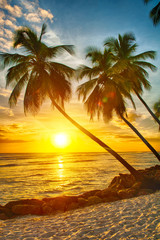 Barbados