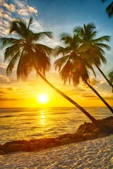 Fotobehang Barbados © Fyle