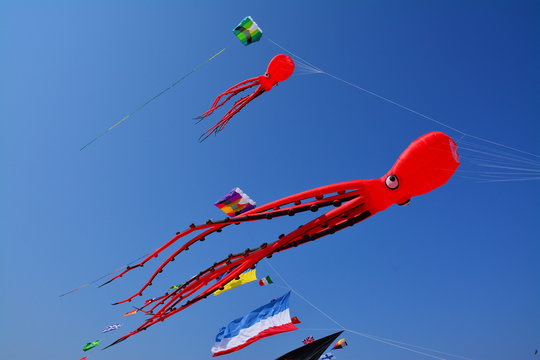 bunte drachen