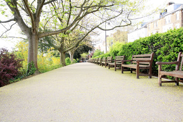Fototapeta premium Beautiful park with trees and benches