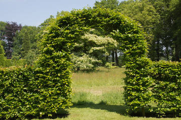 Green arch in garden - 66843046