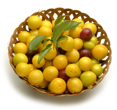 Prunus cerasifera Cherry plum Crvenolisna &scaron;ljiva Kiraz eriği