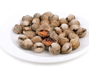 blood cockle cooked