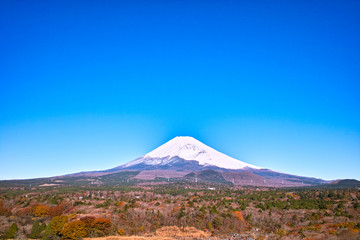 Fototapeta premium 十里木別荘地の紅葉と富士山