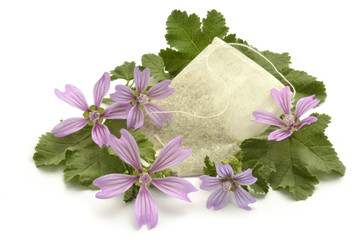 Malva sylvestris Erdei mályva Mallow Grande mauve خبازة برية