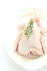 chicken and rosemary
