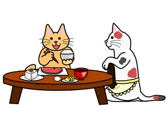 和朝食を食べる猫