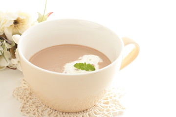 hot chocolate with mint and fresh cream 