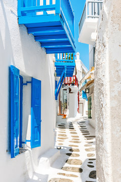 Fototapeta Narrow lane in Mykonos old town