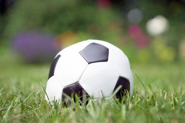Fußball auf dem Rasen