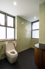 Elegant restroom in a modern house
