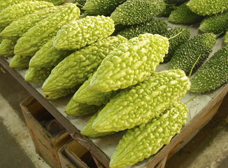 A row of bitter gourds