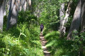 mujer caminando por un camino entre arboles en verano